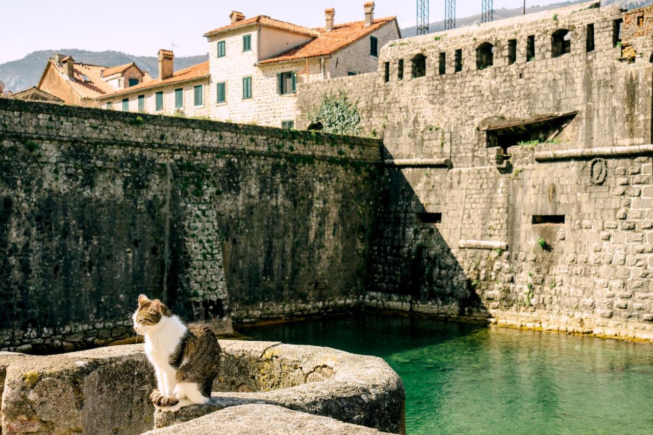 D & Sons Apartments Kotor Luaran gambar